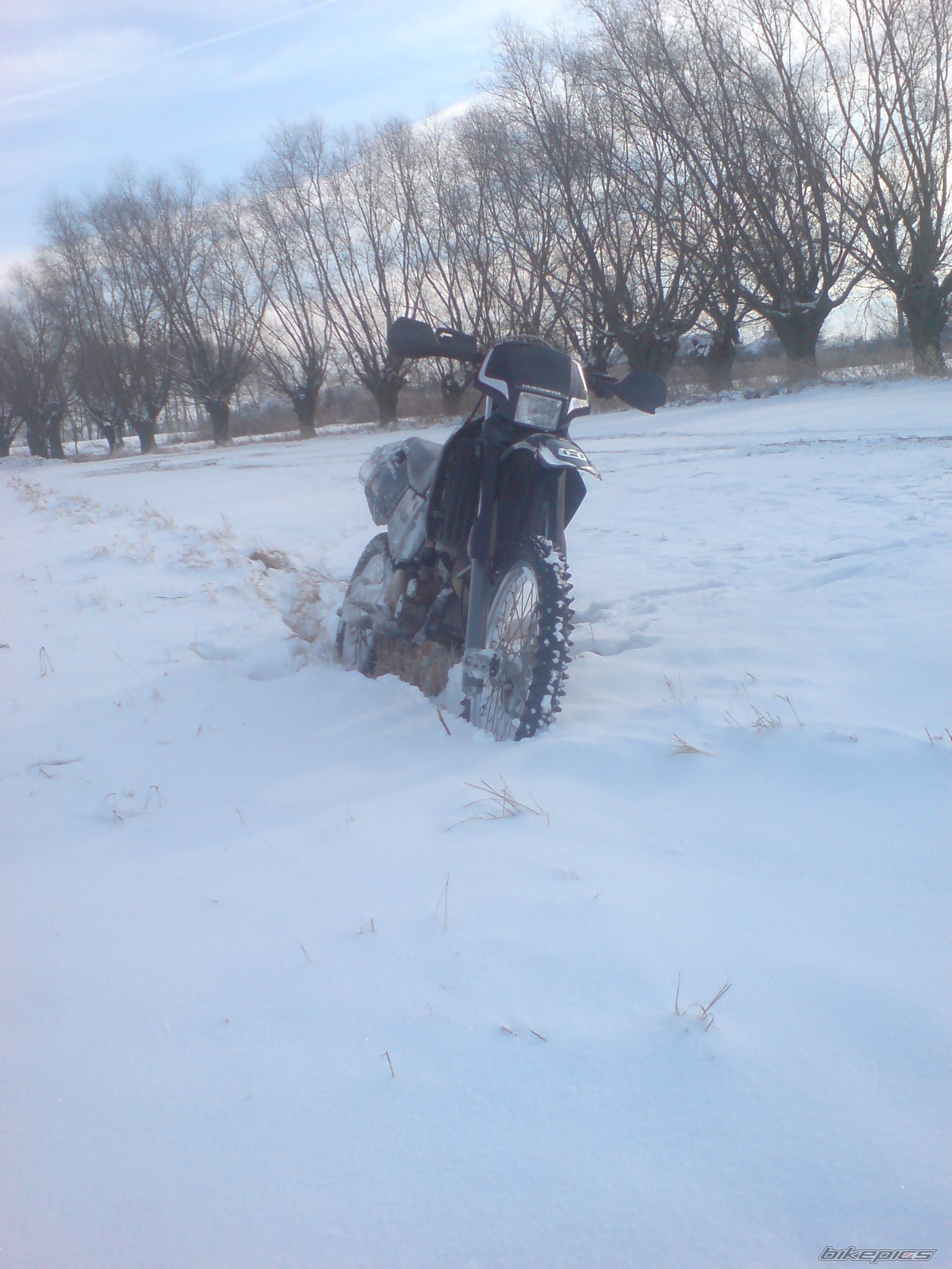 Photo 1543529