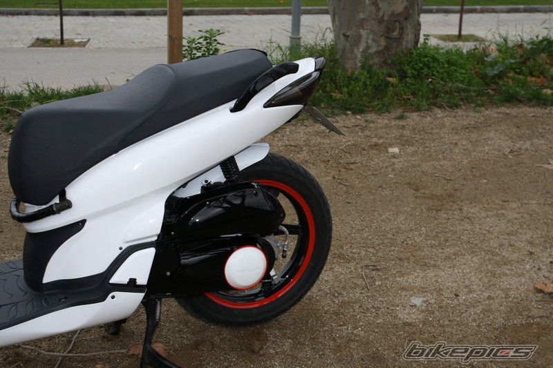 Photo 1543563