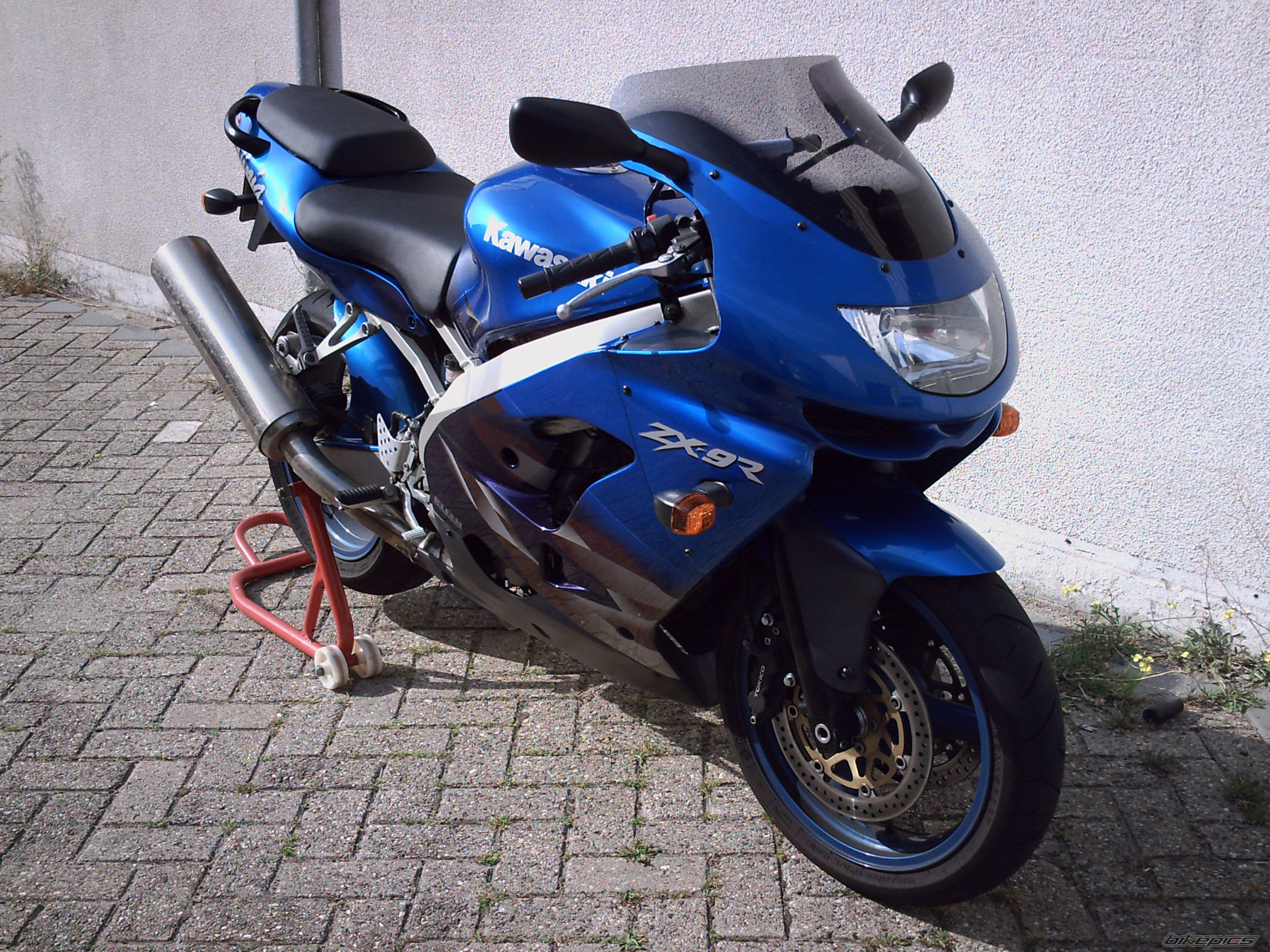 Photo 1543582