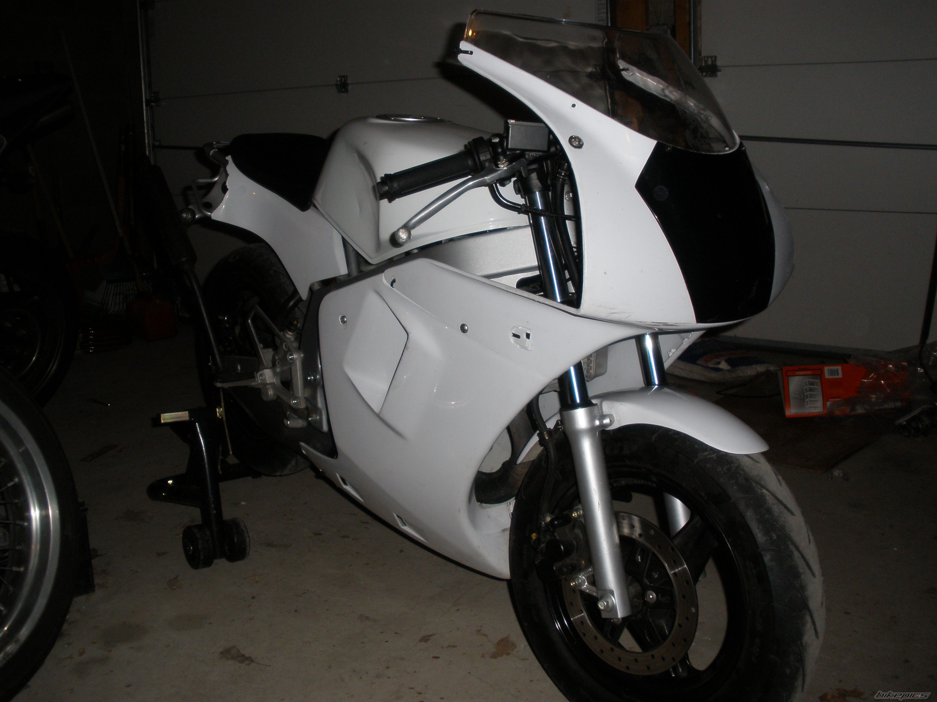 Photo 1543608