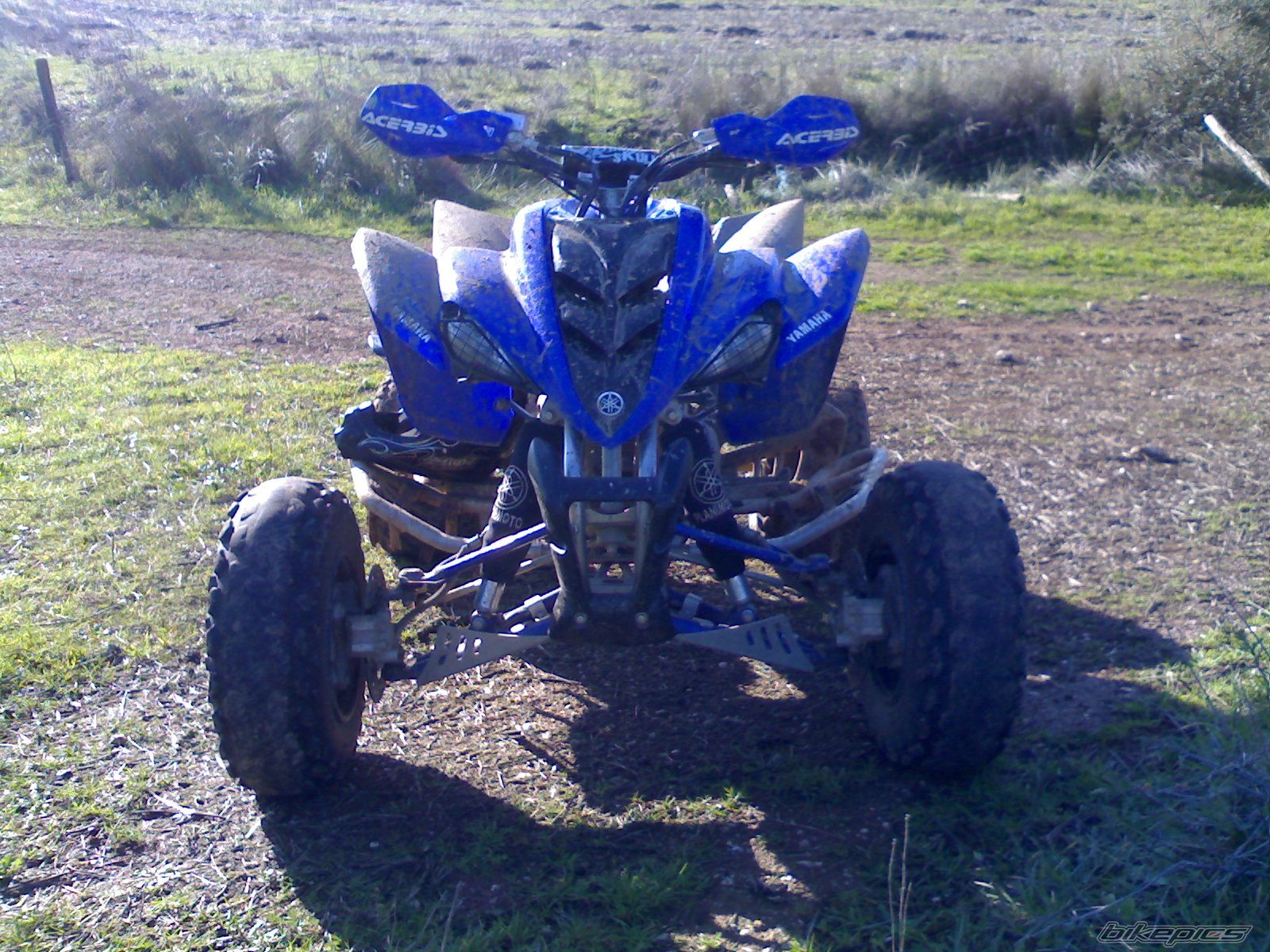 Photo 1543610