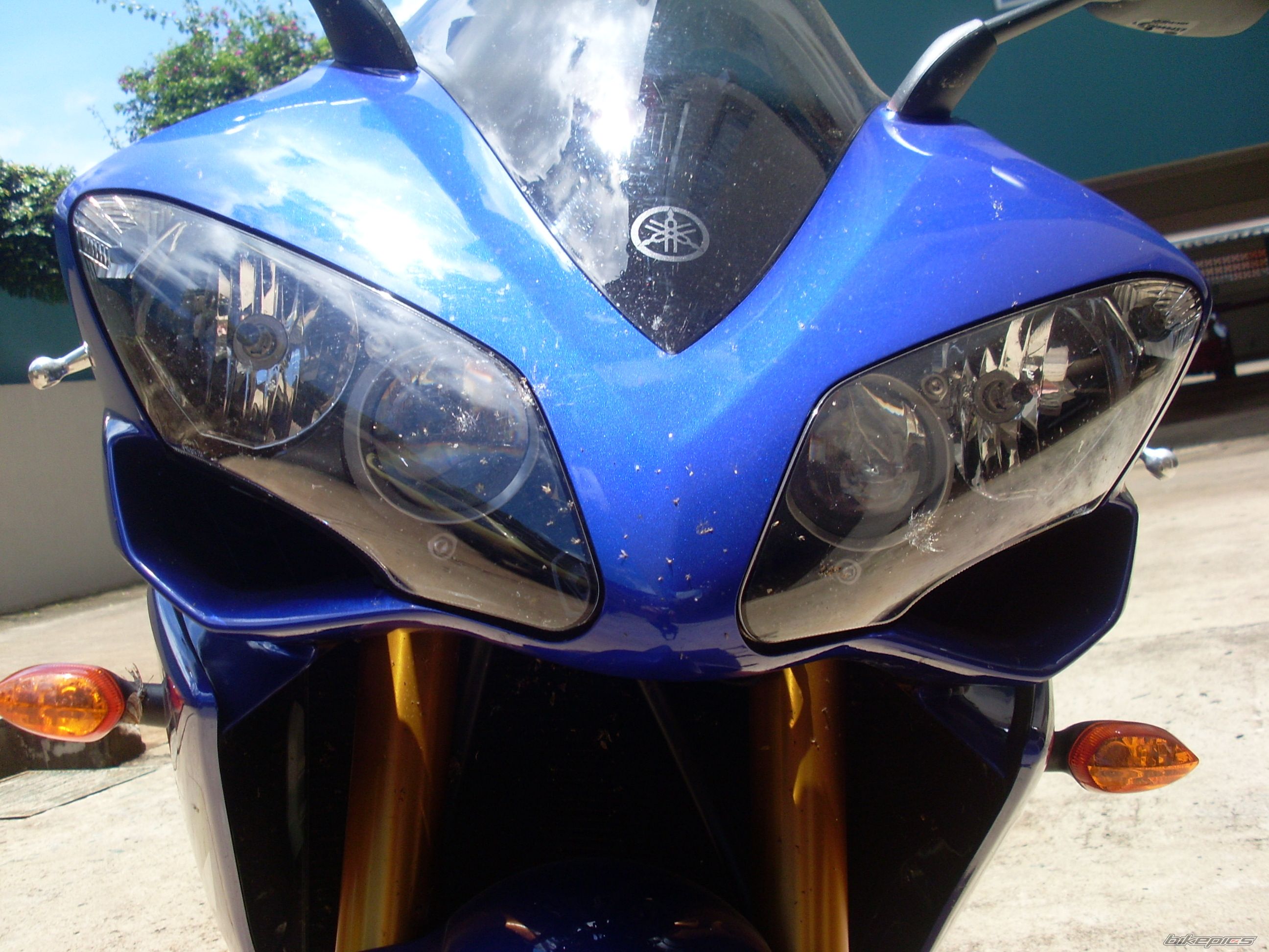 Photo 1543628