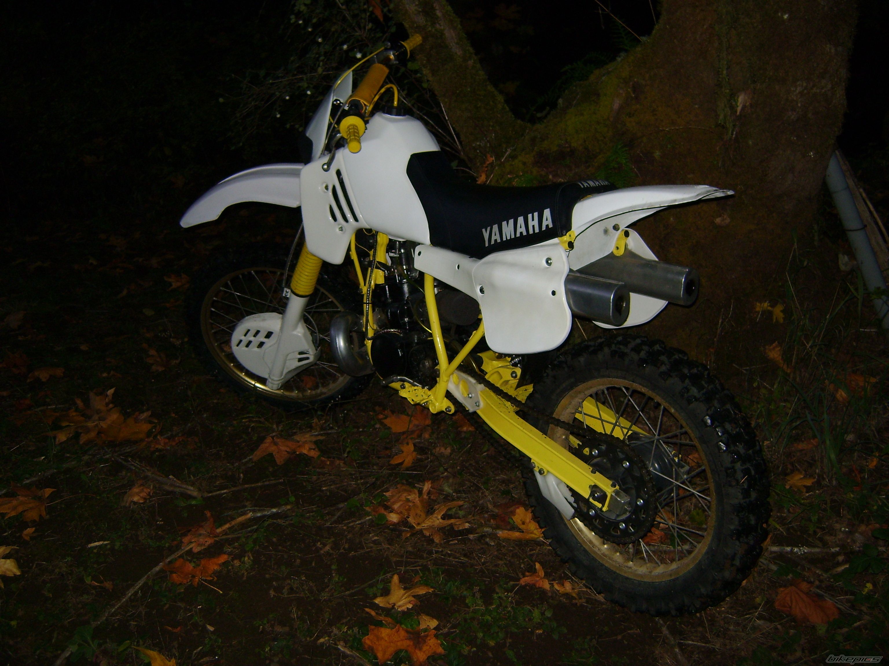 Photo 1543638
