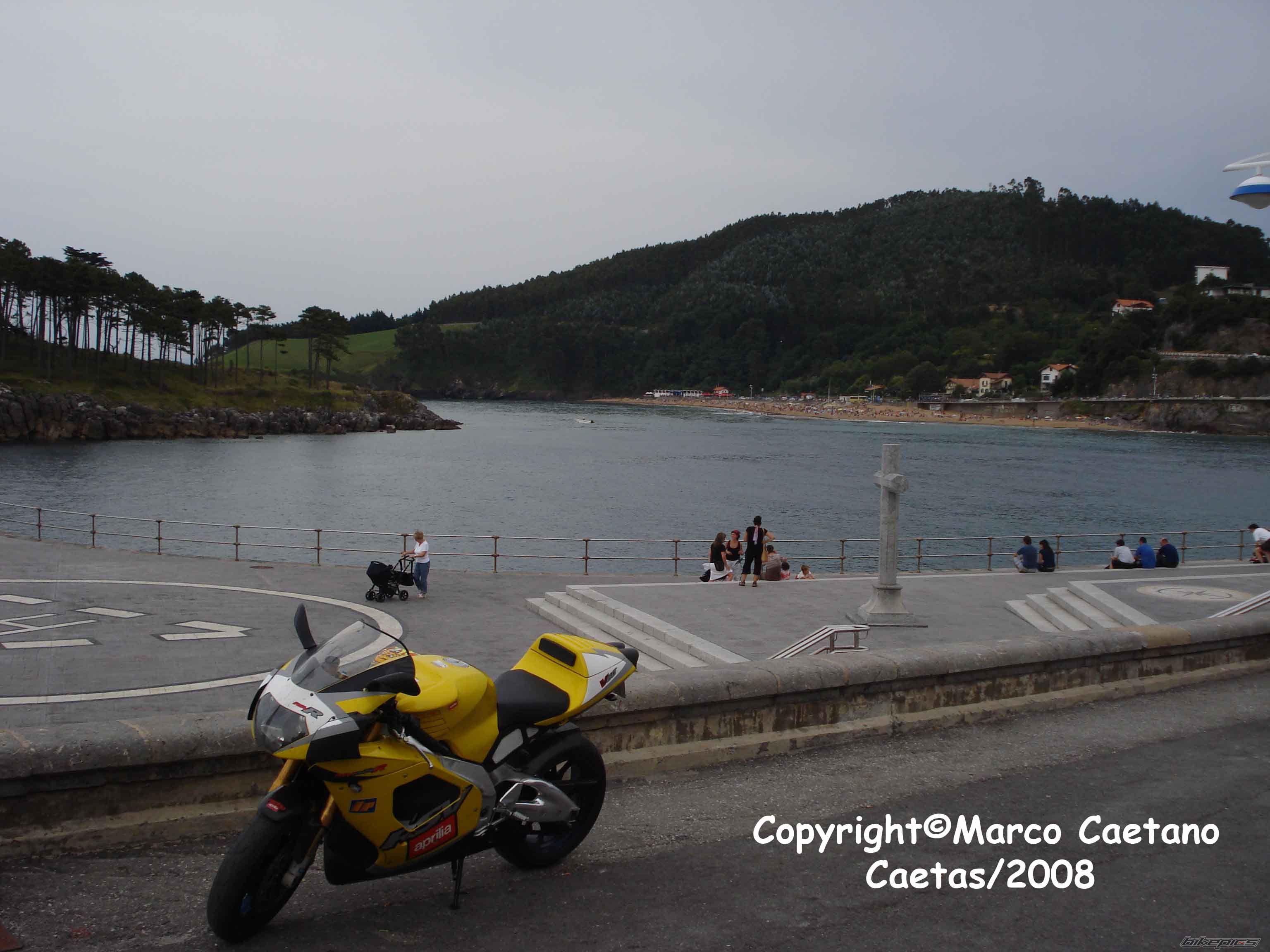 Photo 1543654