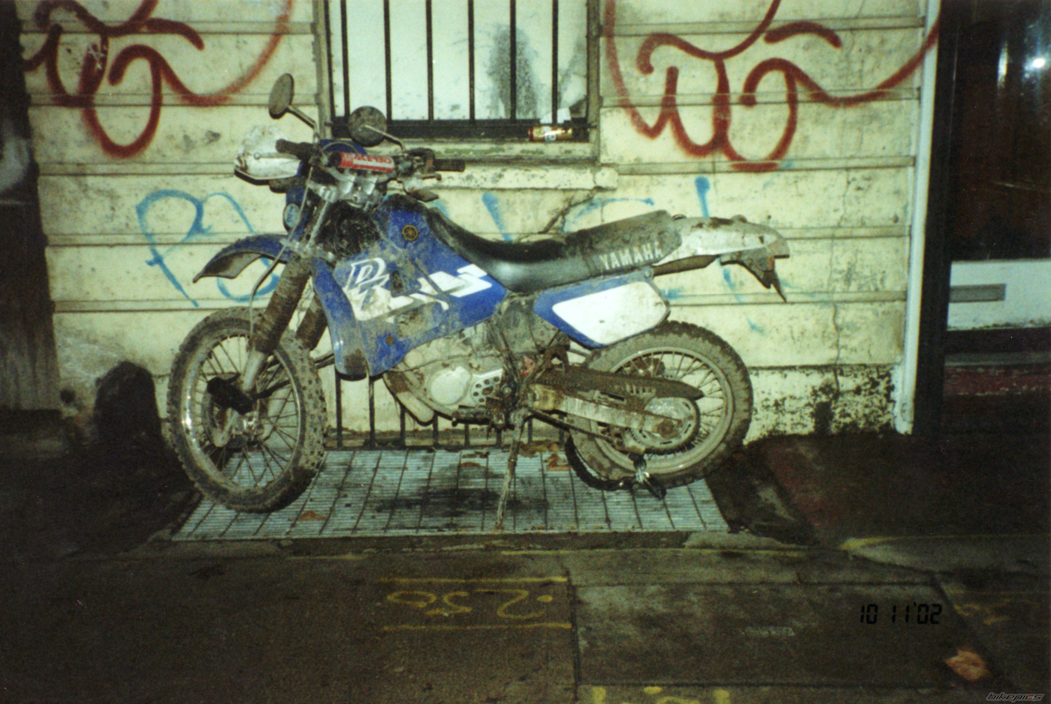 Photo 1543691