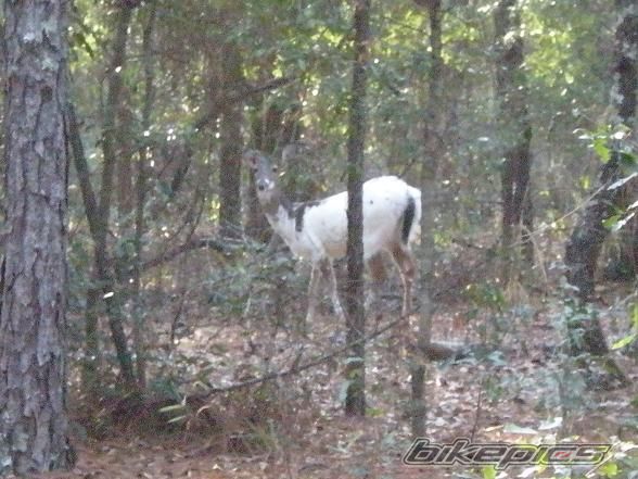 Photo 1543707