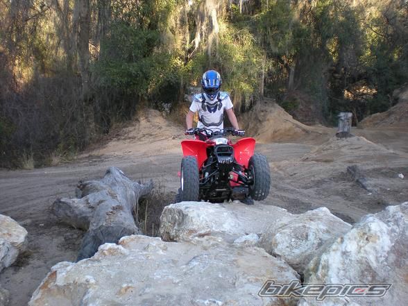 Photo 1543708