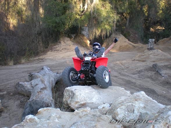 Photo 1543709