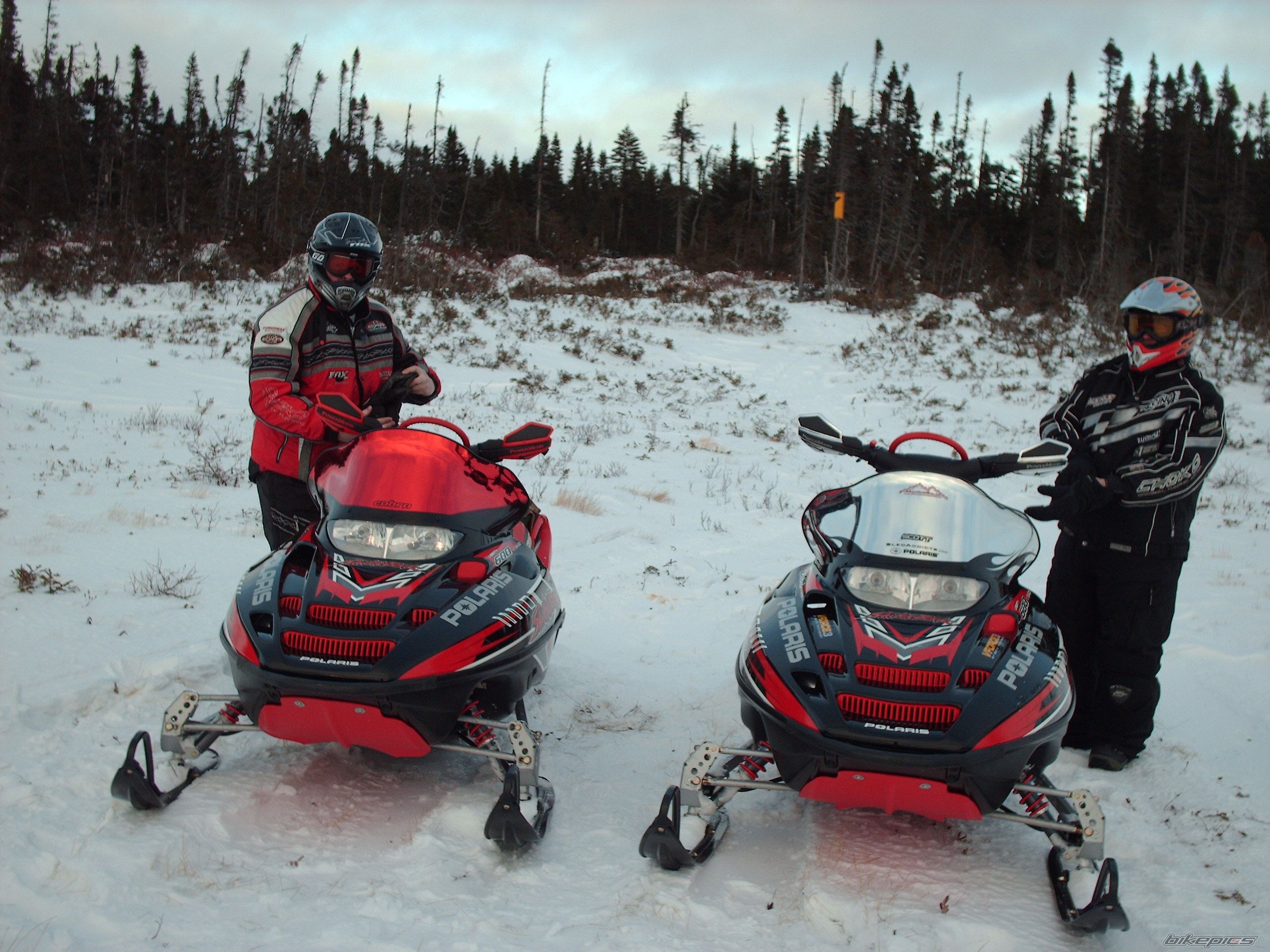 Photo 1543742