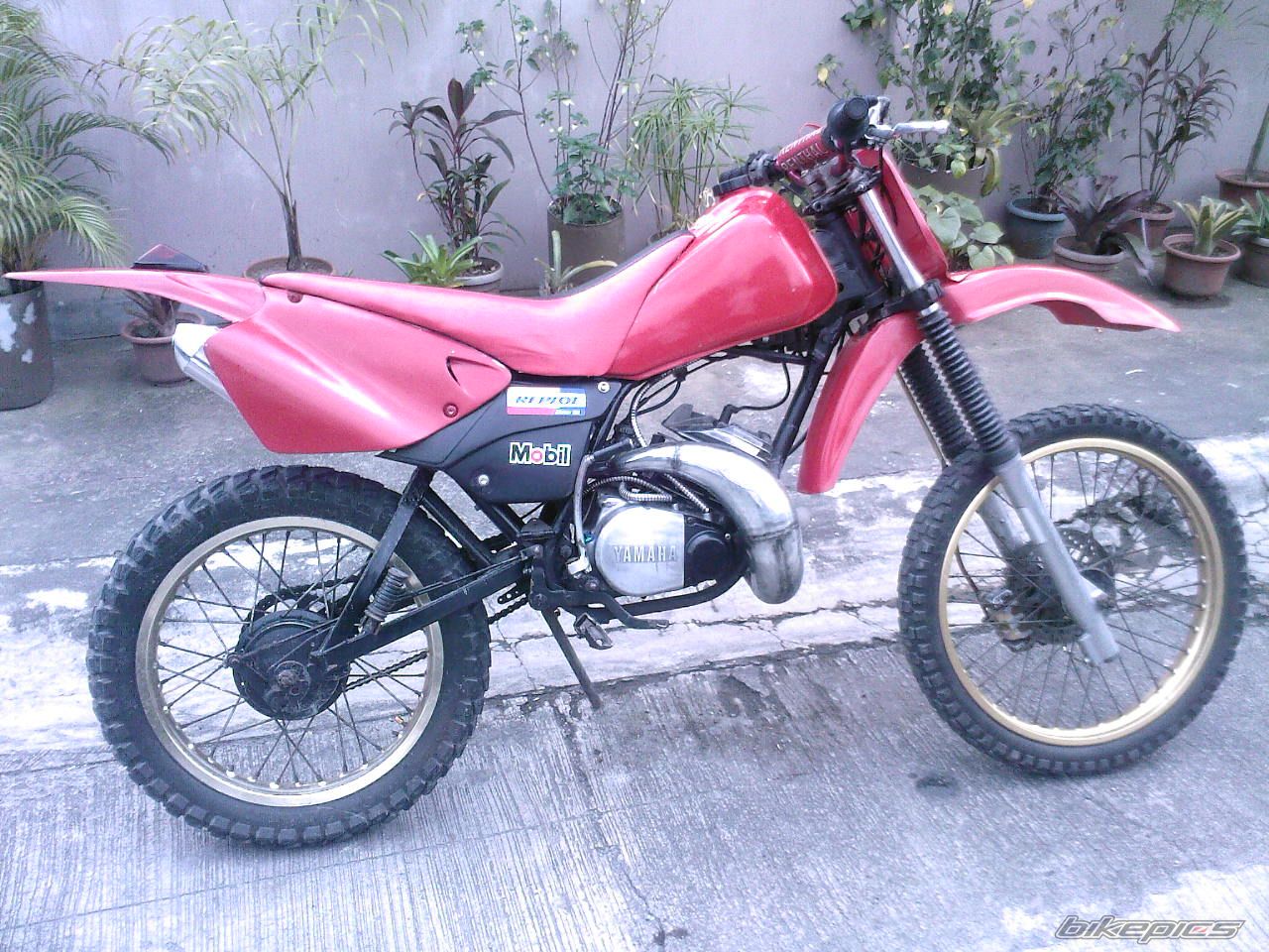 Photo 1543747