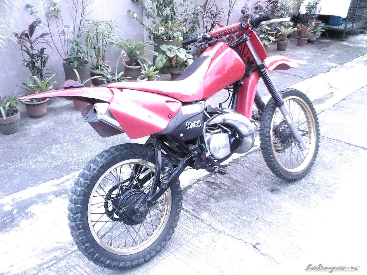 Photo 1543749
