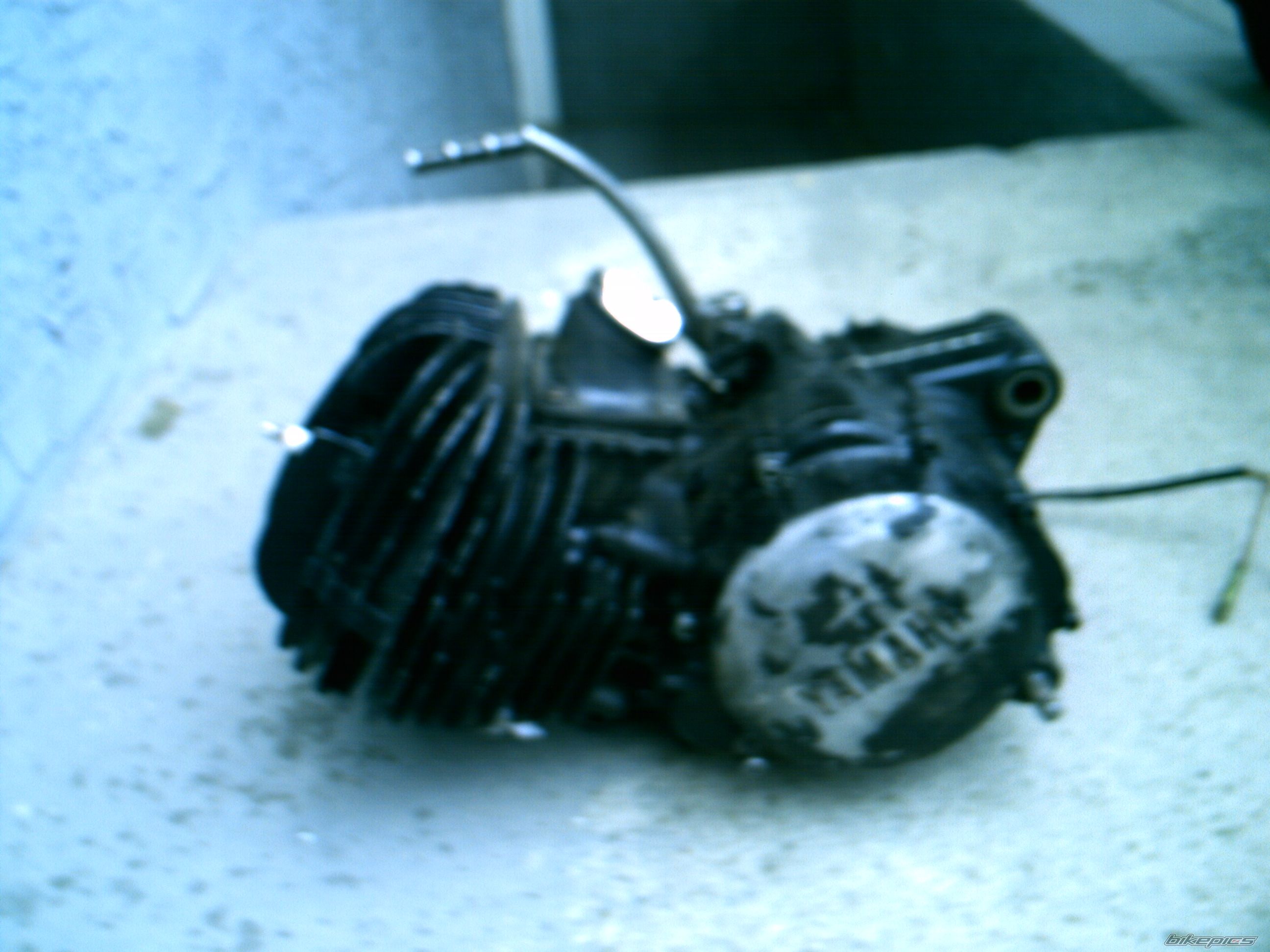 Photo 1543798