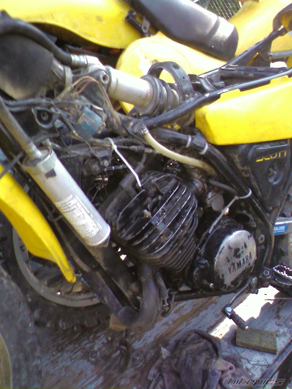 Photo 1543799