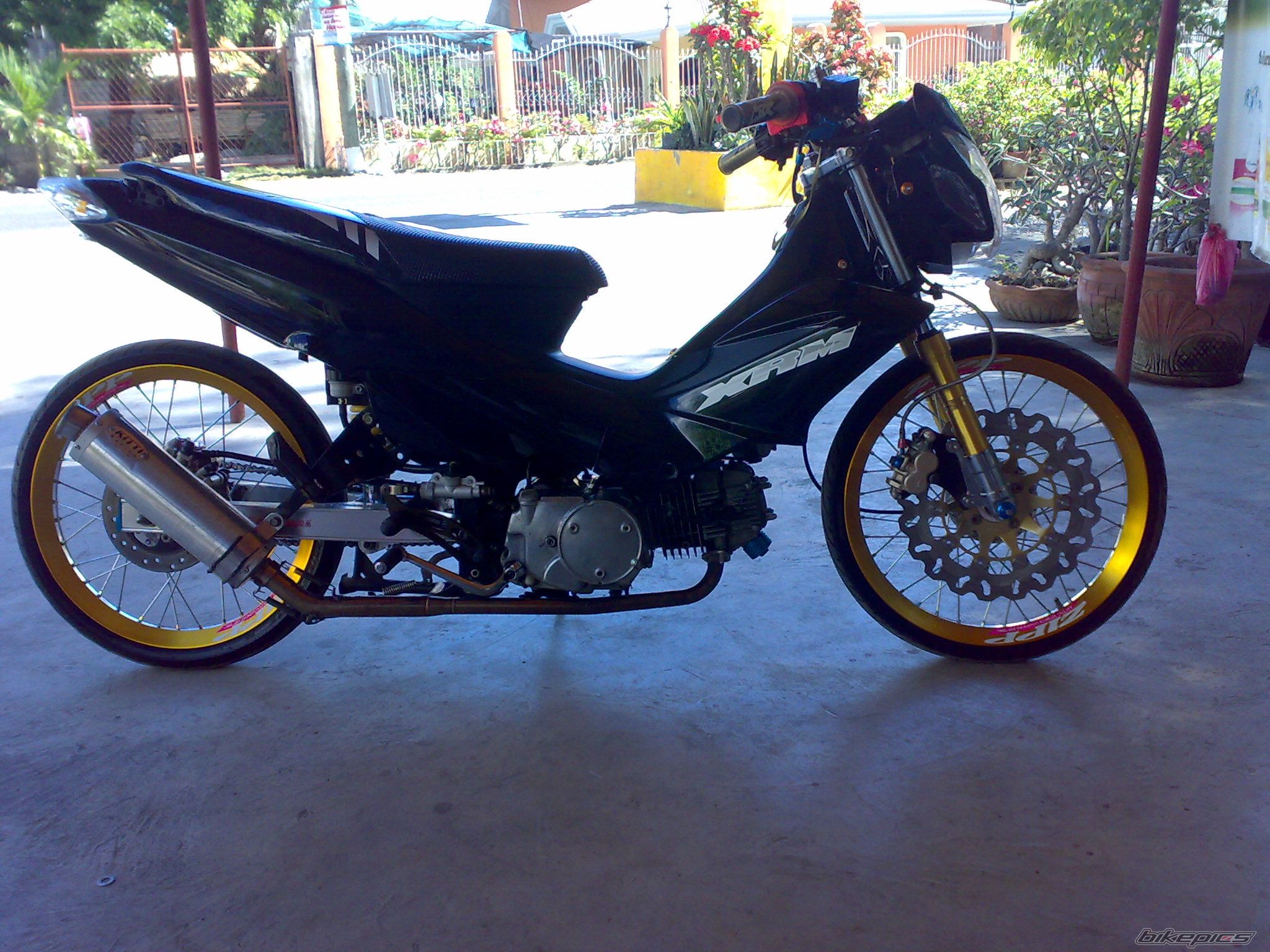 Photo 1543894