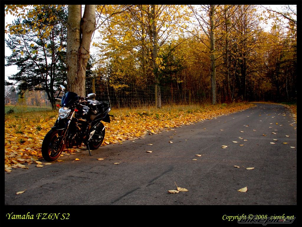 Photo 1543913