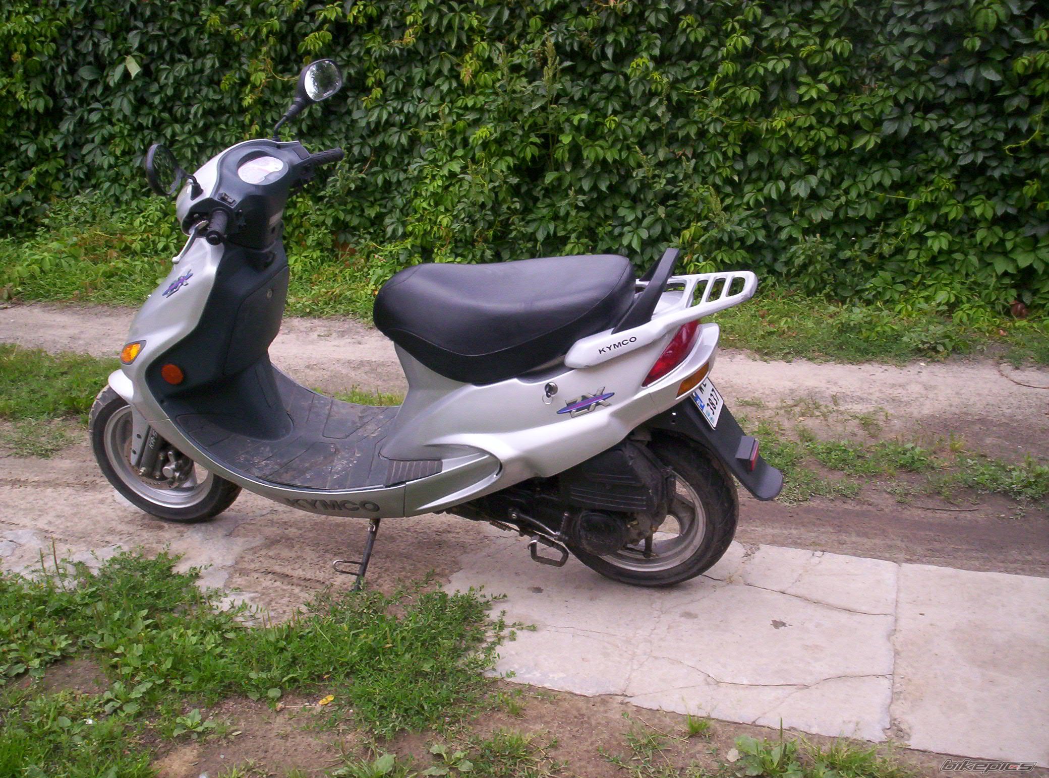Photo 1543959