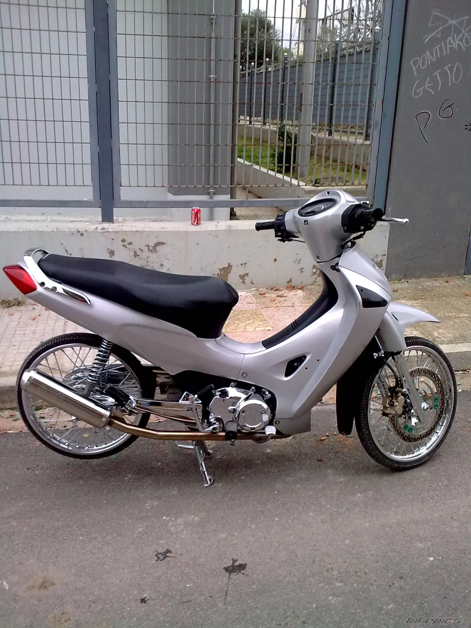 Photo 1543981