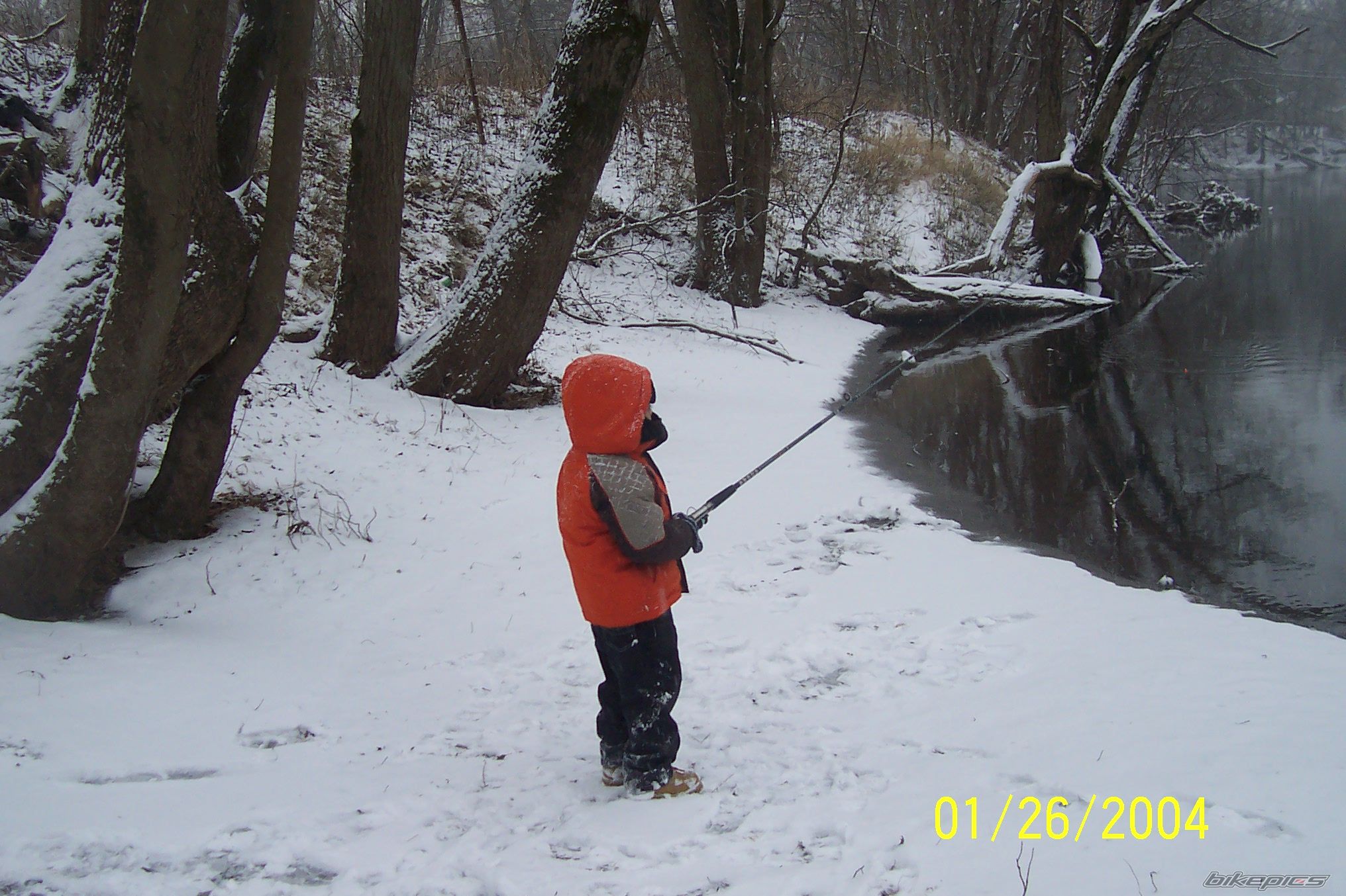 Photo 1544075