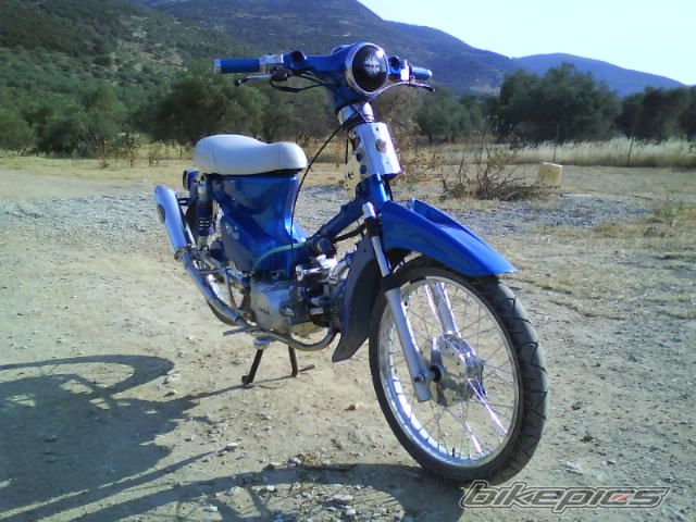 Photo 1544086