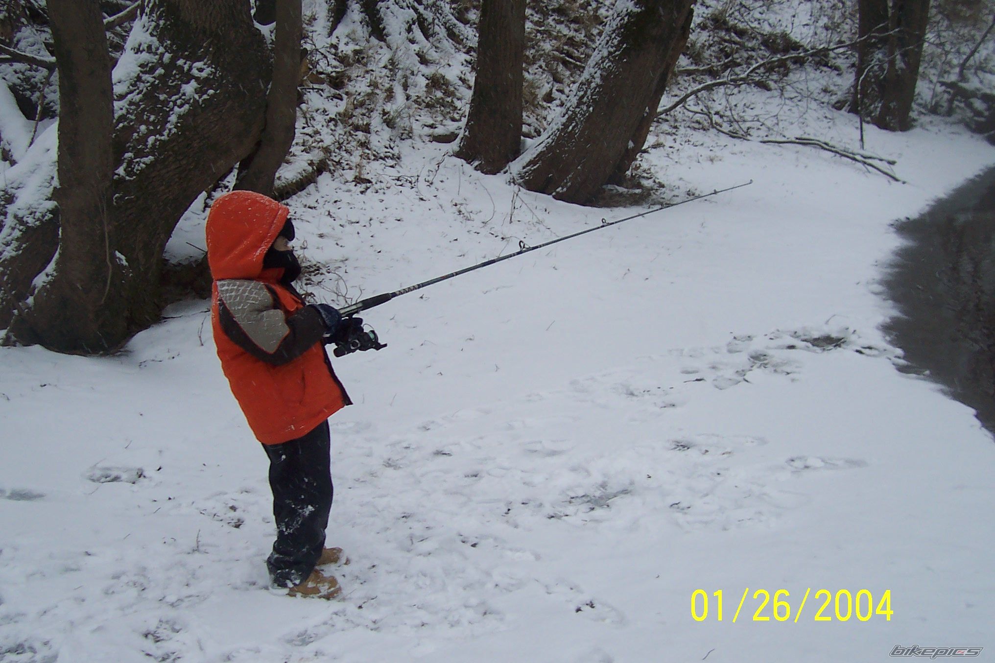 Photo 1544096