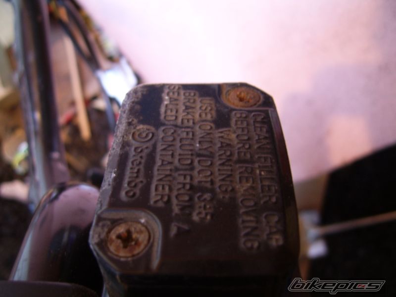 Photo 1544188