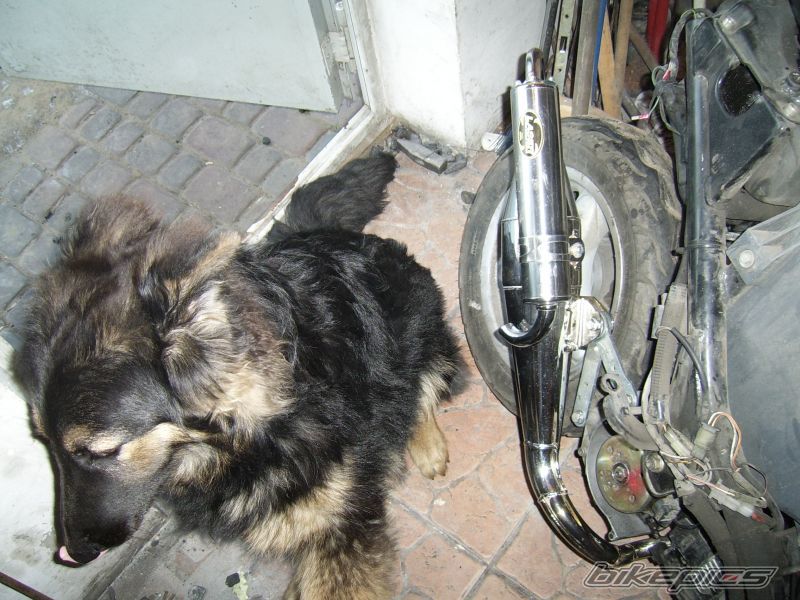 Photo 1544191
