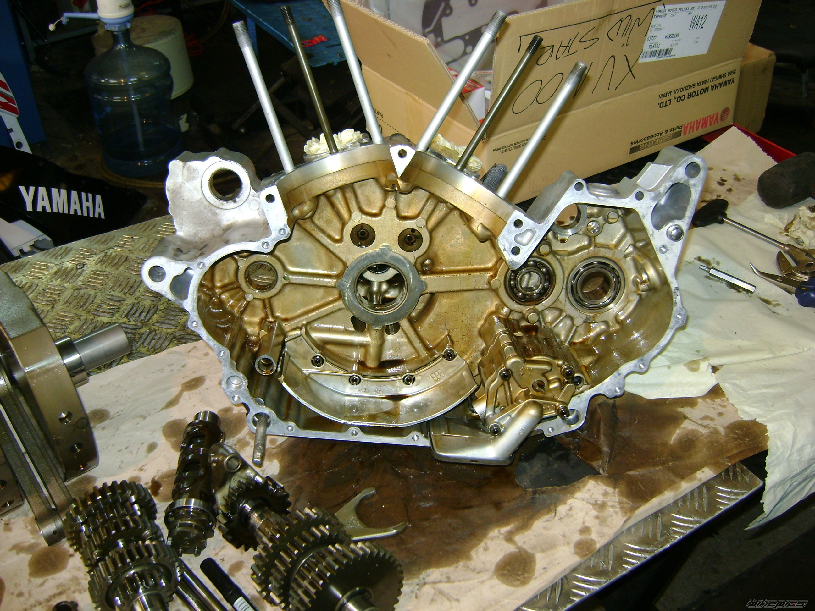 Bike Photo 1544220