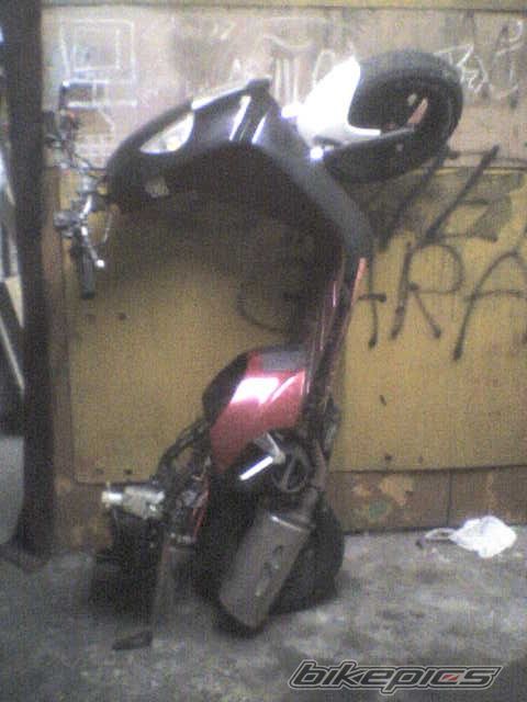 Photo 1544235
