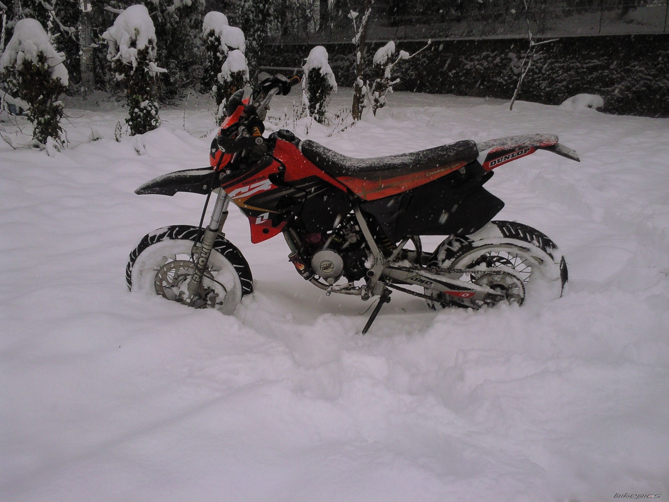 Bike Photo 1544256