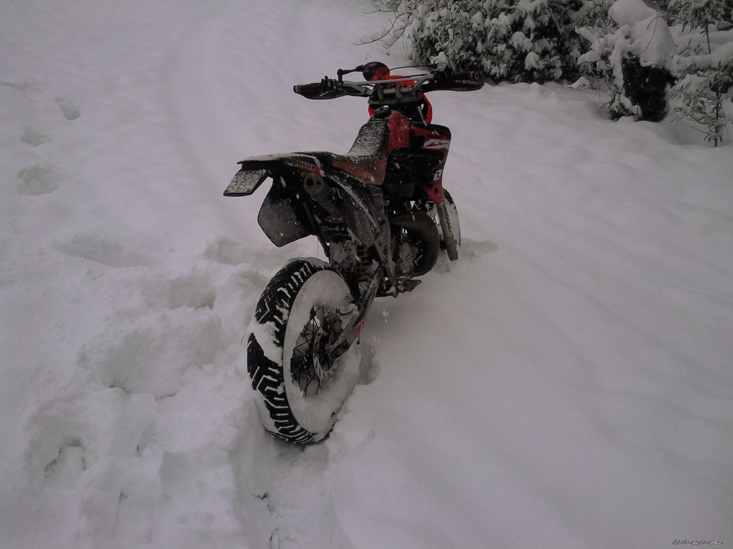 Bike Photo 1544262