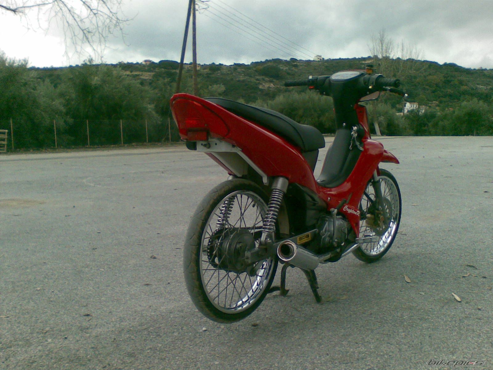 Photo 1544438
