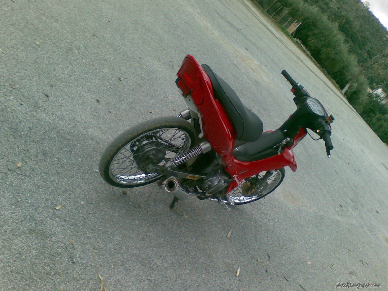Photo 1544440