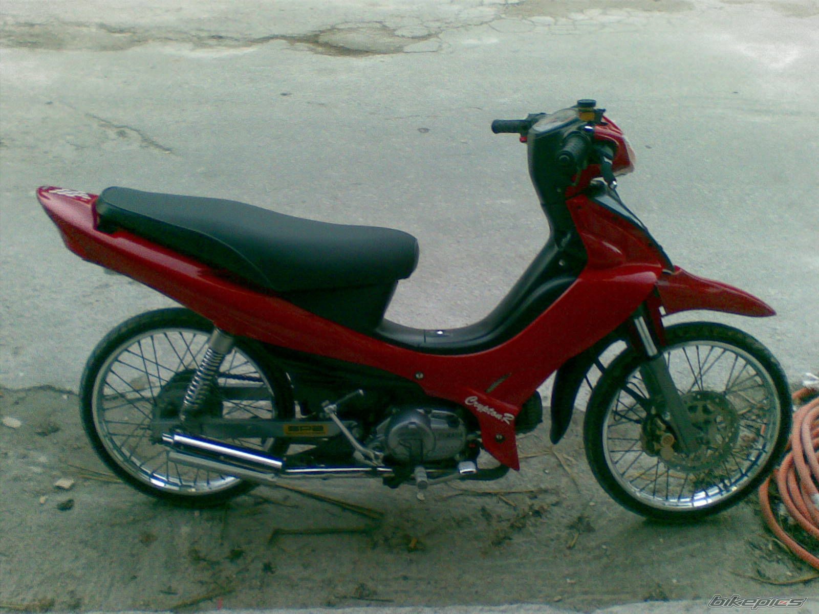 Photo 1544446