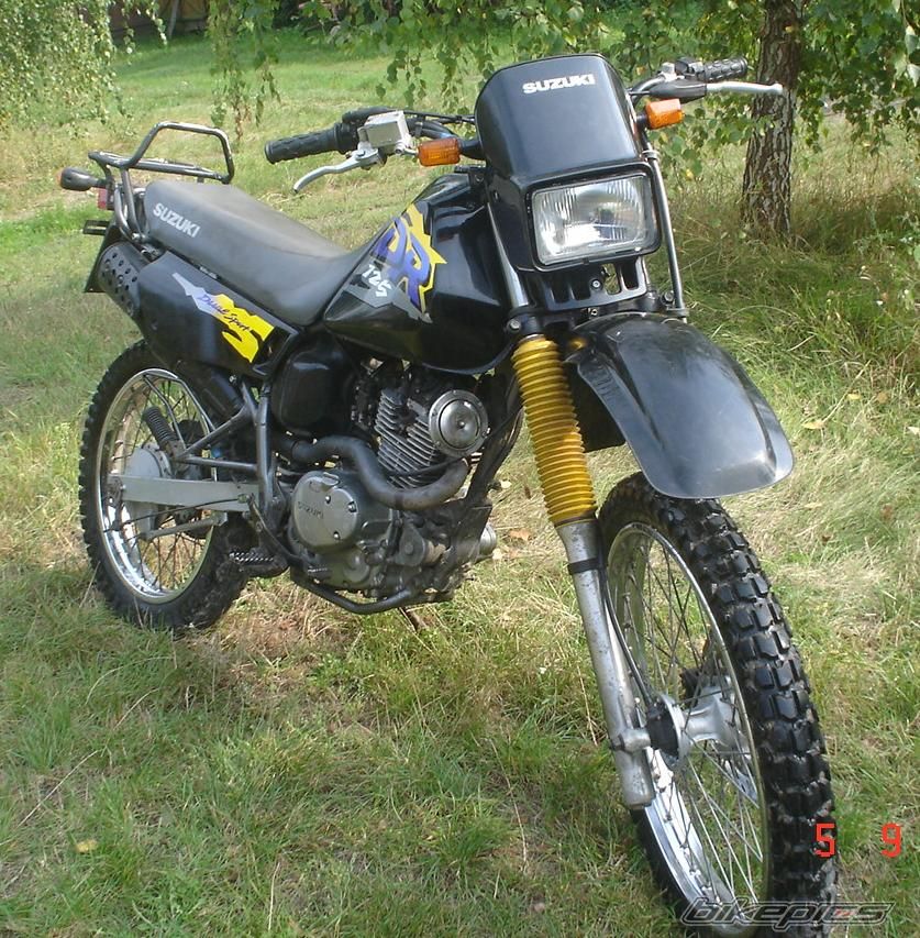 Photo 1544458