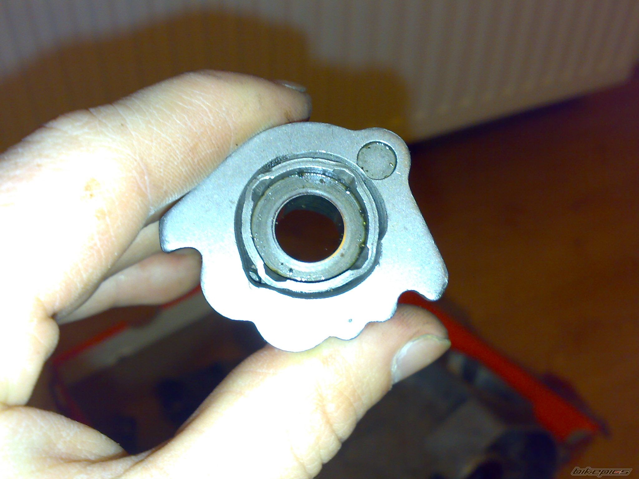 Photo 1544581