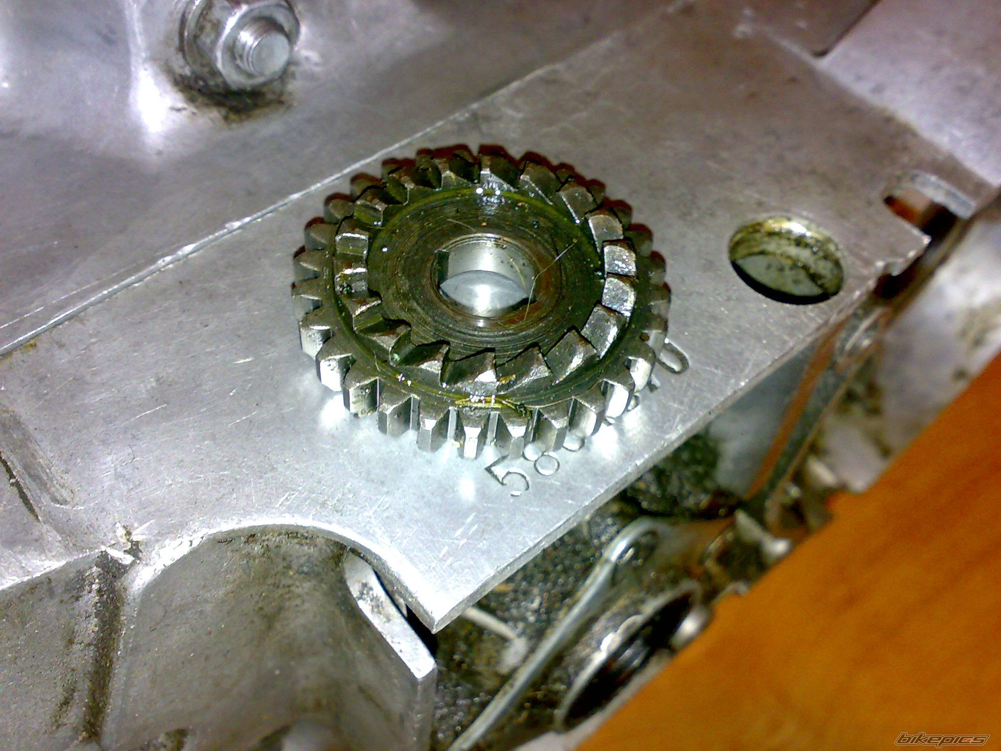 Photo 1544584
