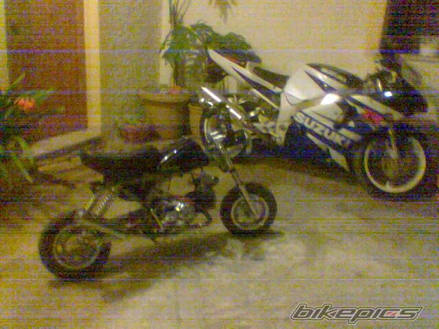Photo 1544606