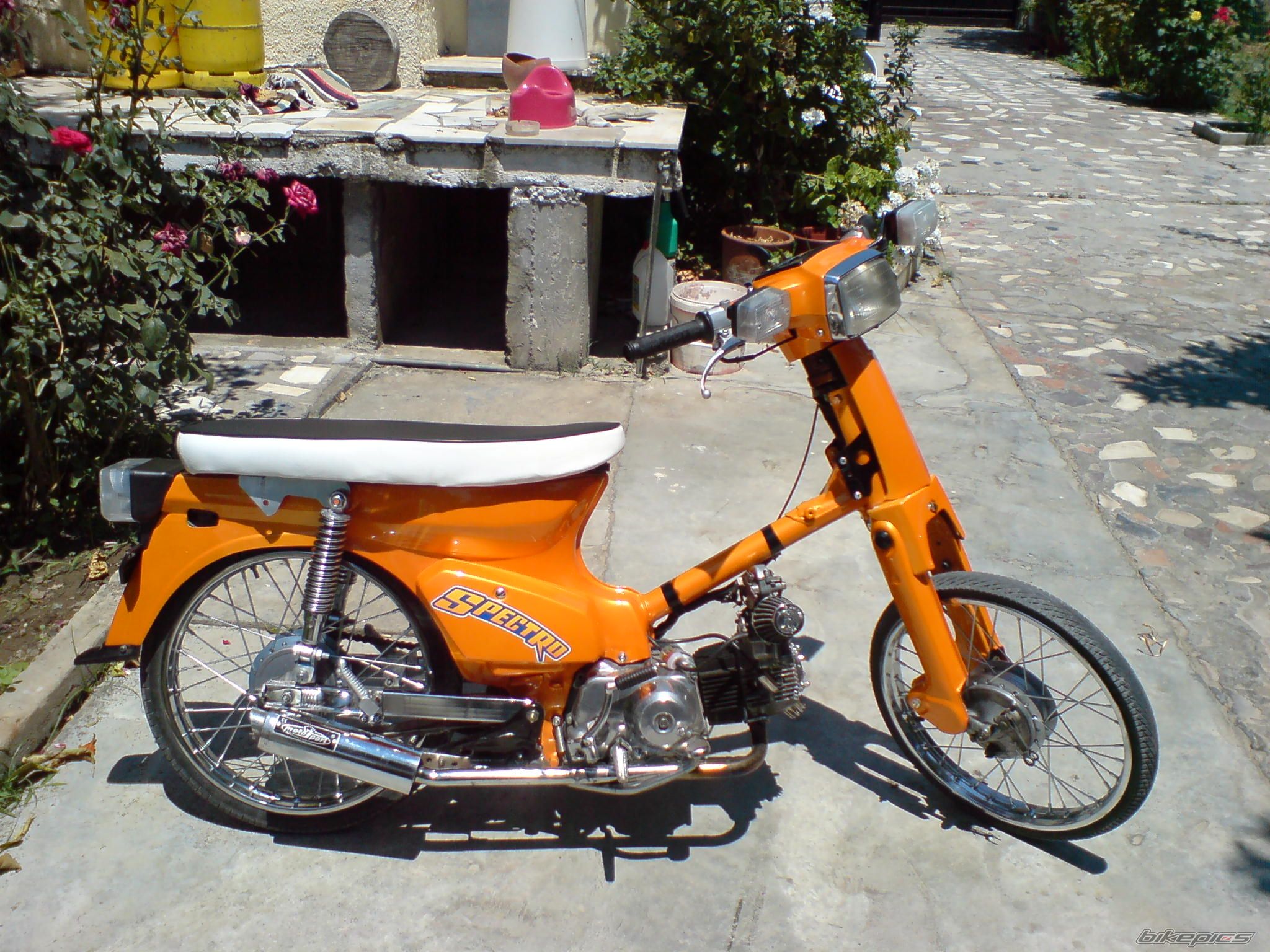 Photo 1544624