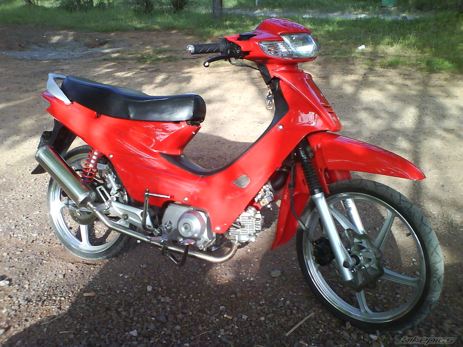 Photo 1544627