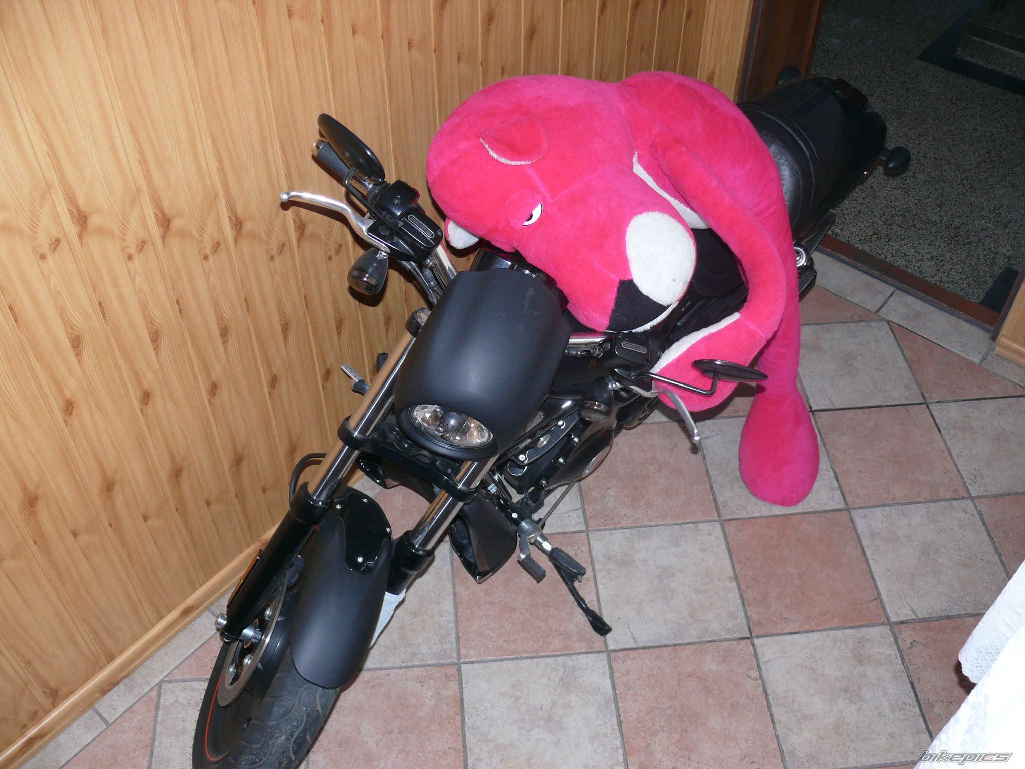 Photo 1544775