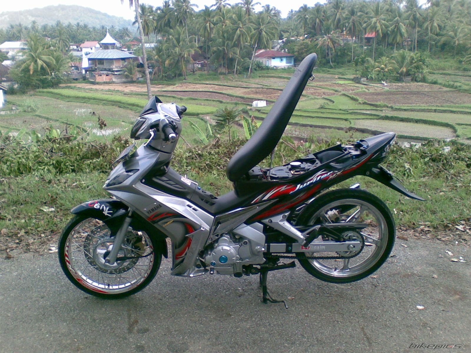 Photo 1544845