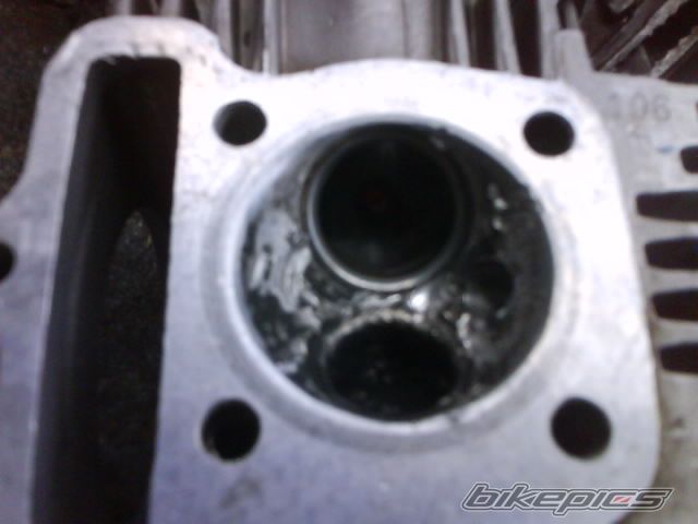 Photo 1544875