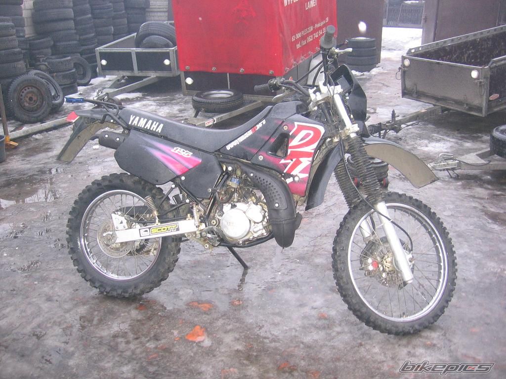 Photo 1544908