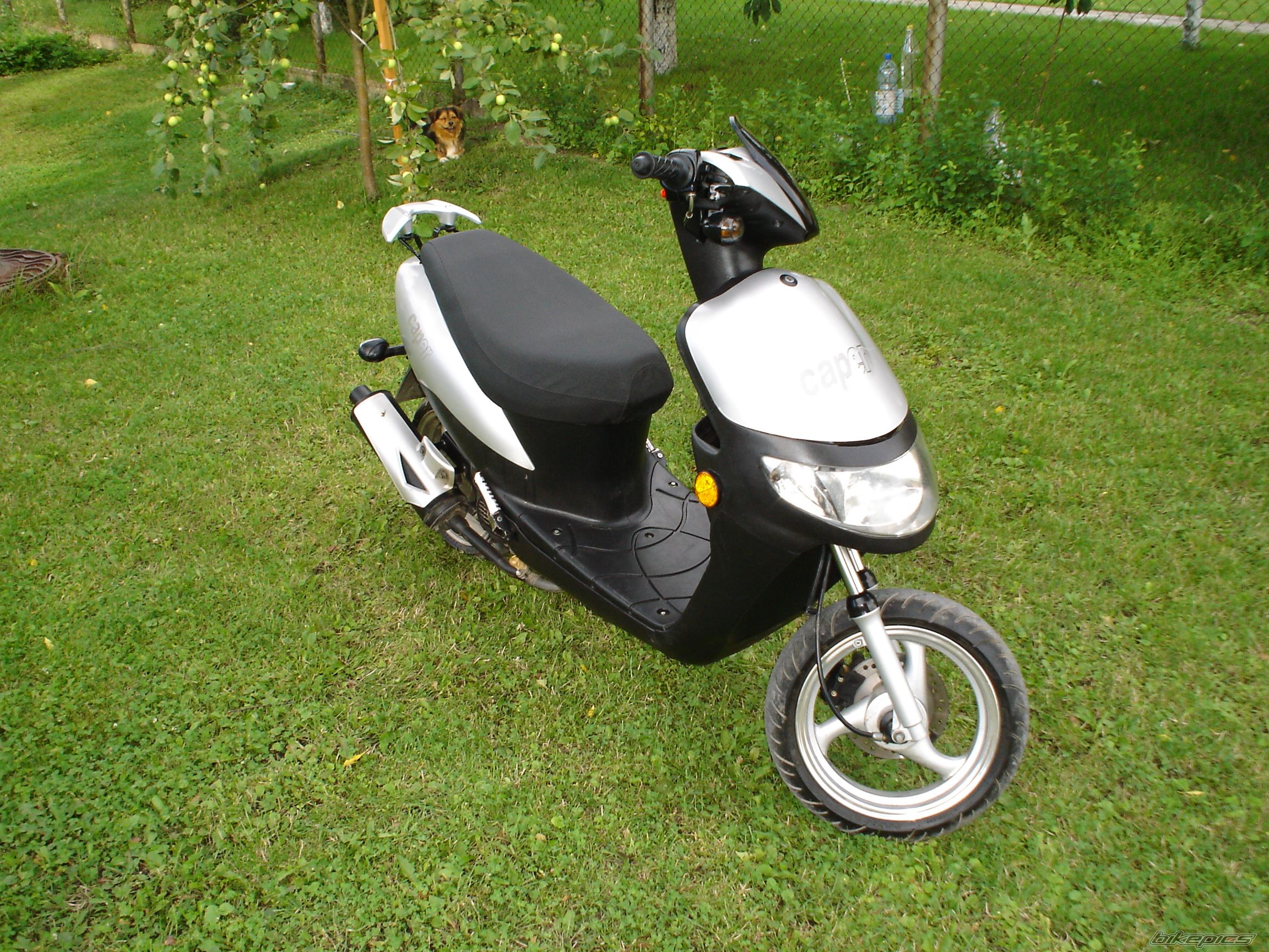 Photo 1544927