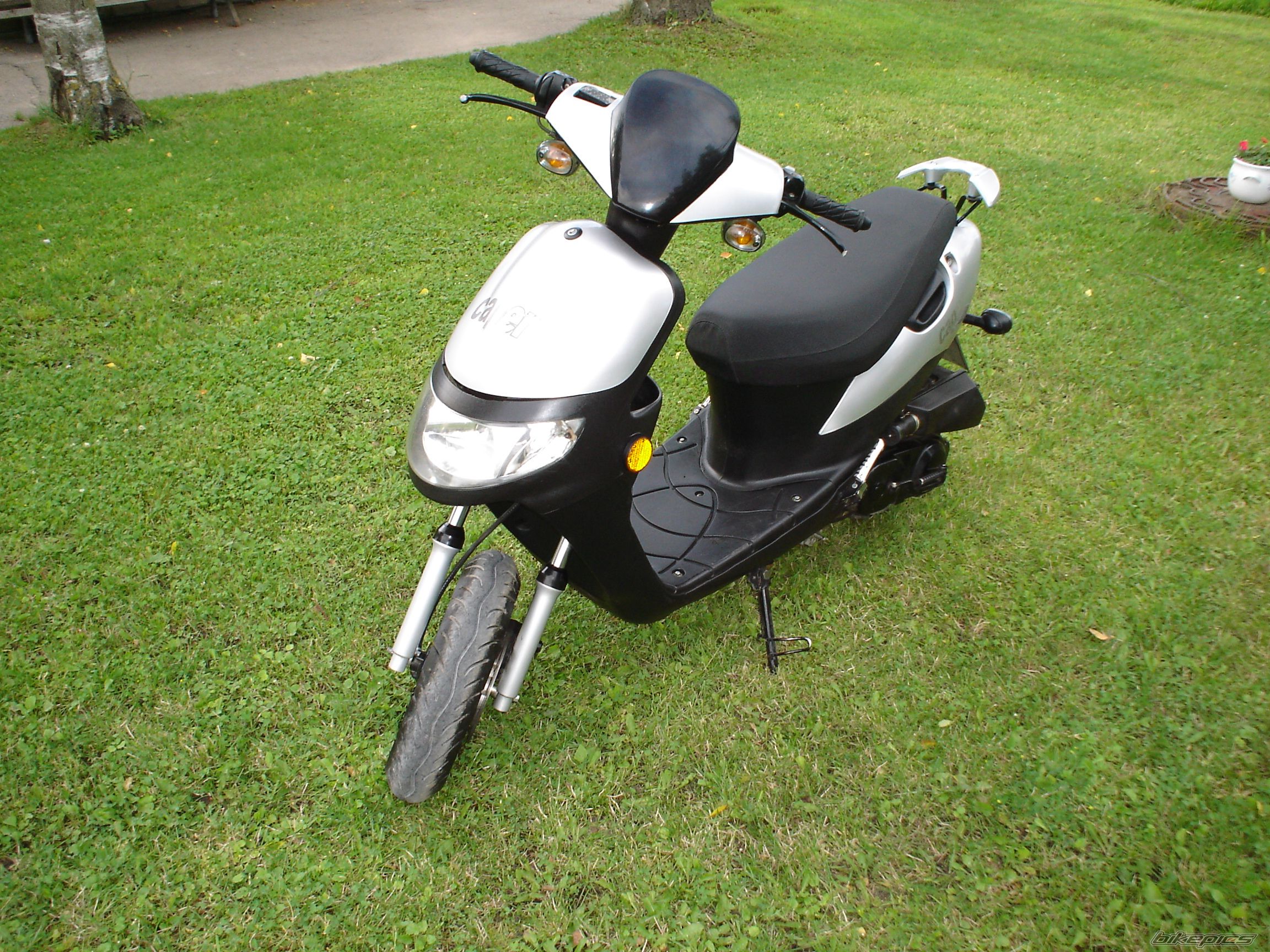 Photo 1544935