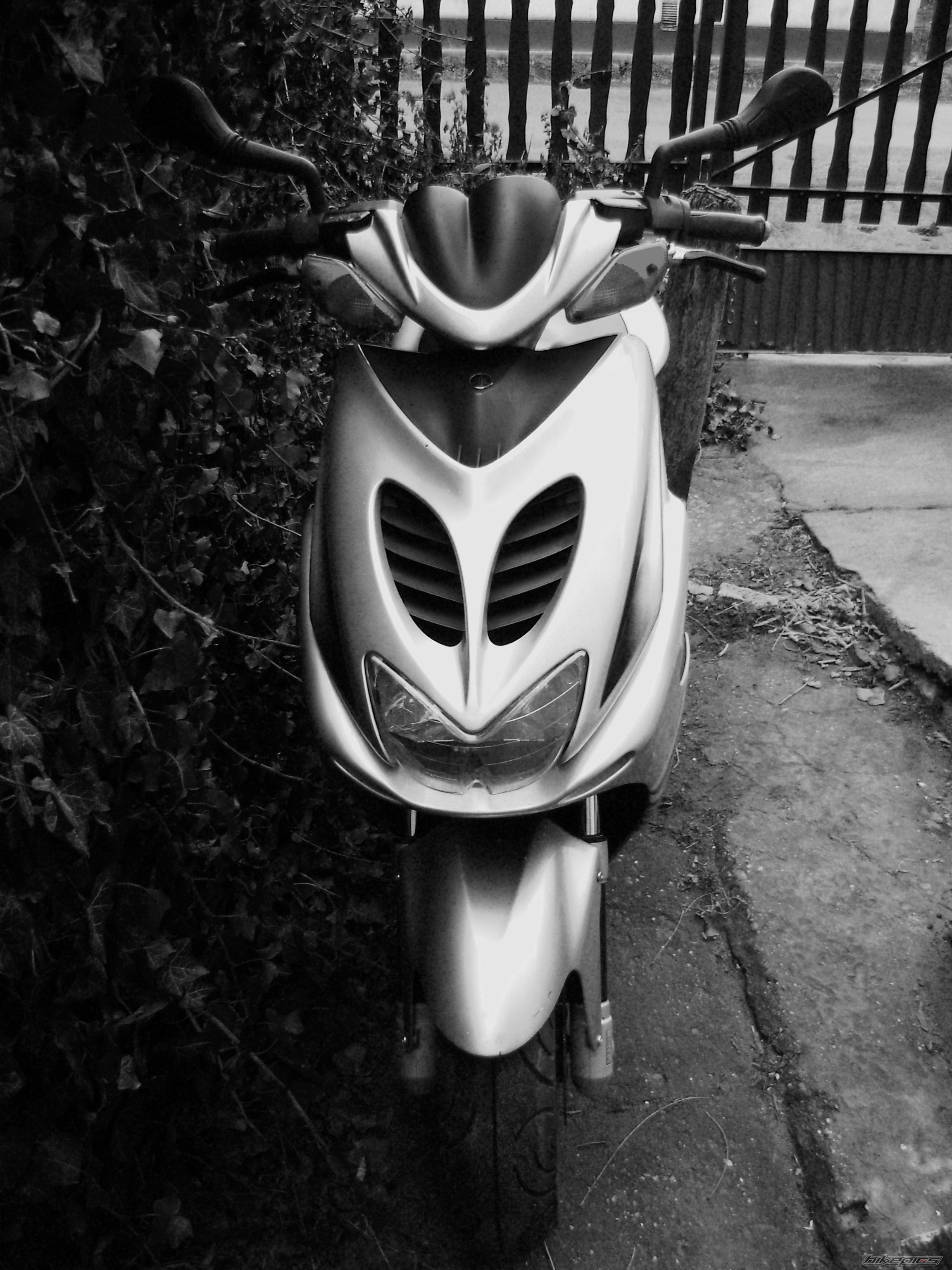 Bike Photo 1544956