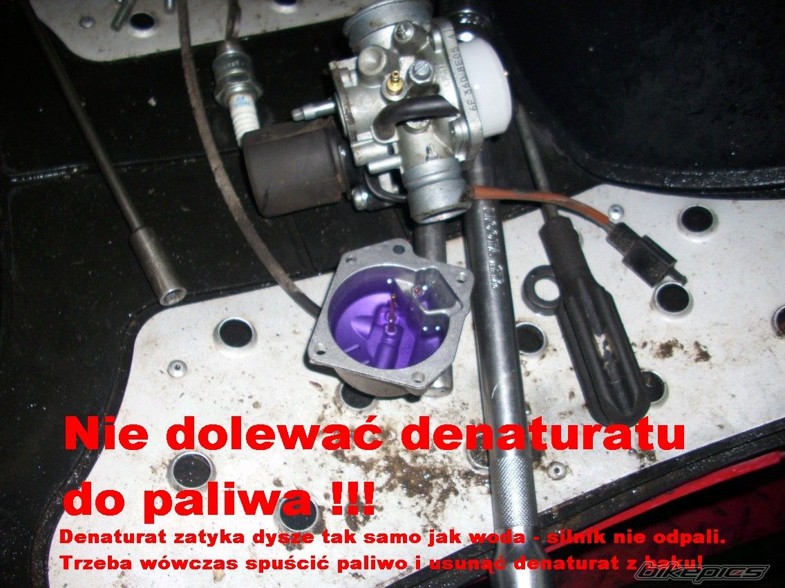 Photo 1545015