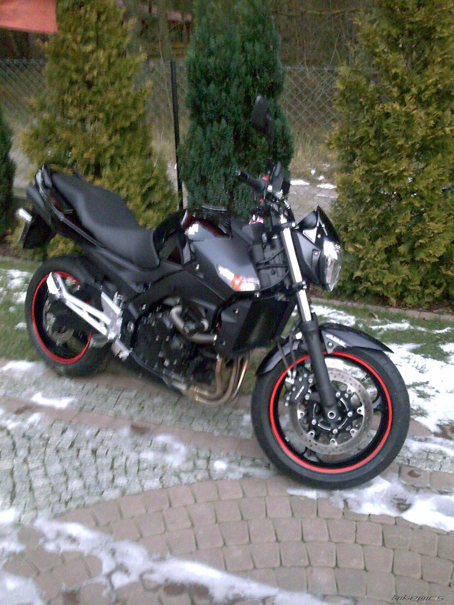 Bike Photo 1545037