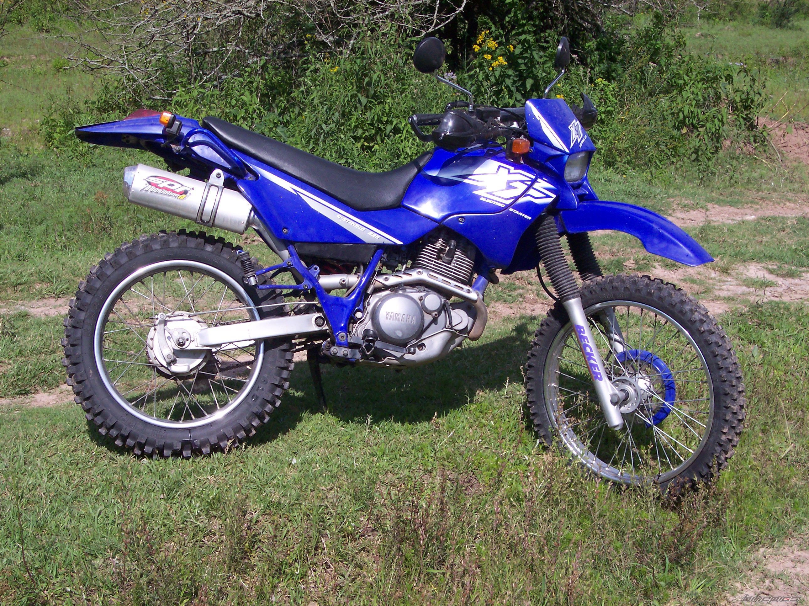 Photo 1545139
