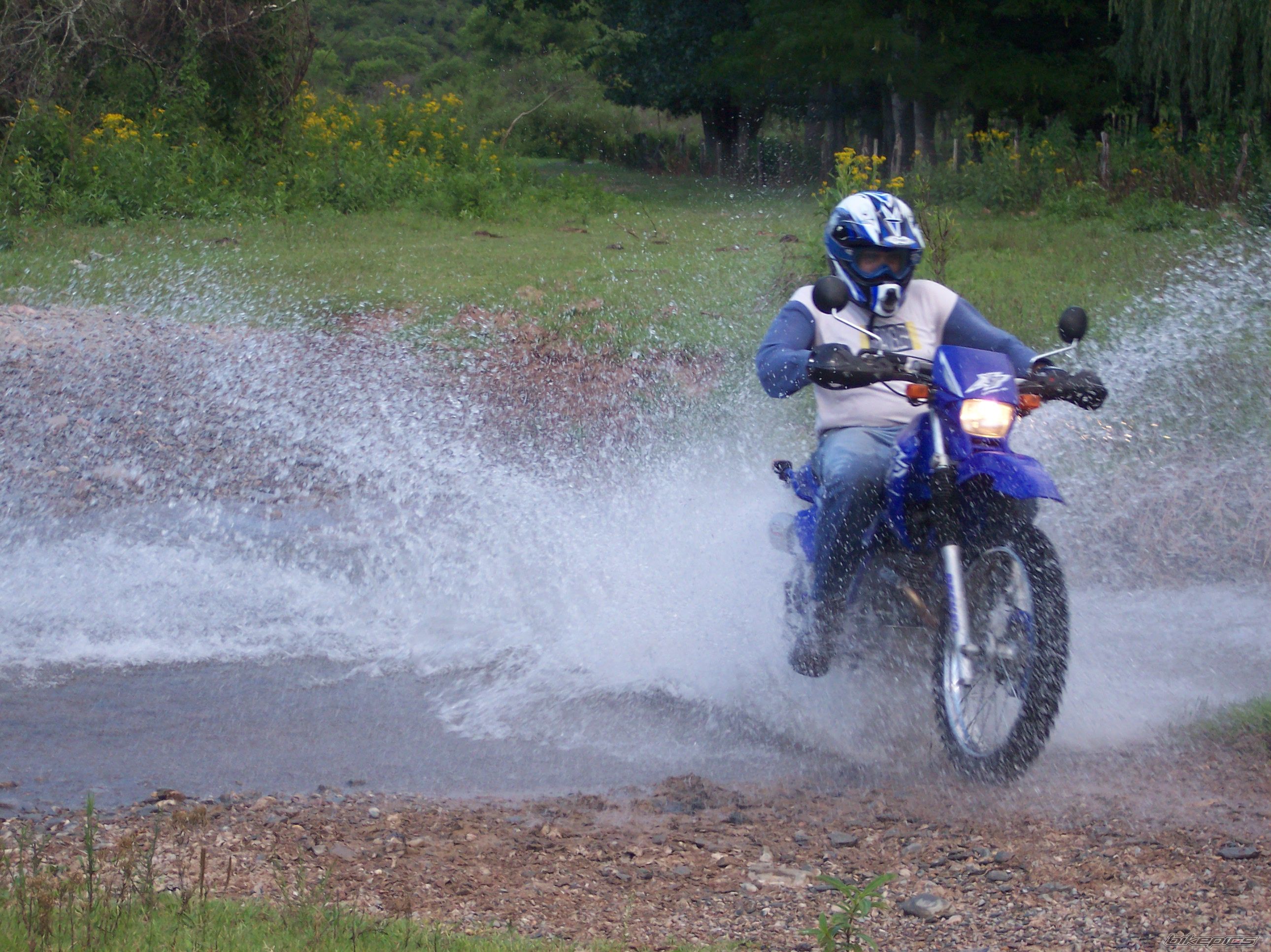 Photo 1545145
